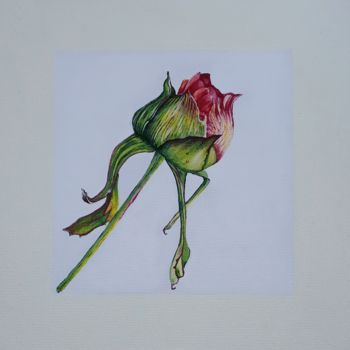 Pintura titulada "Flower pion" por B R, Obra de arte original, Acrílico Montado en Bastidor de camilla de madera