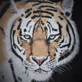 Tekening getiteld "The Tiger" door Daisy Van Der Zijden, Origineel Kunstwerk, Potlood