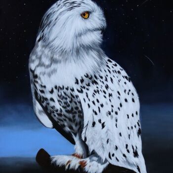 Pittura intitolato "Hedwig Junior" da Daisy Van Der Zijden, Opera d'arte originale, Acrilico