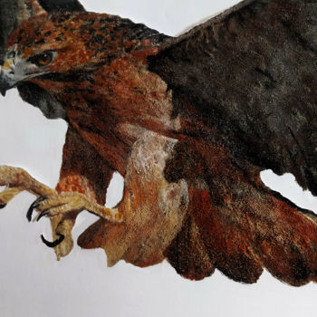 "aguia peregrina" başlıklı Tablo Dalmo Antônio tarafından, Orijinal sanat