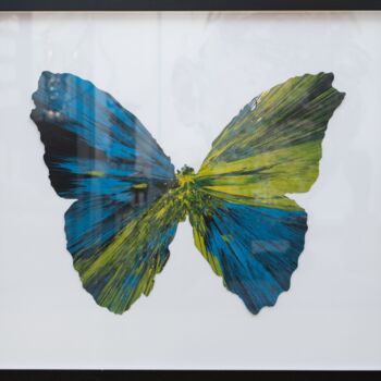 Malerei mit dem Titel "Papillon" von Damien Hirst, Original-Kunstwerk
