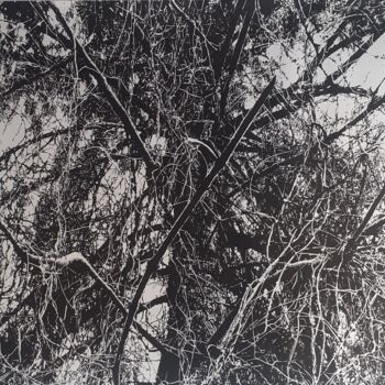 "Father's tree" başlıklı Resim Damir Kamenar tarafından, Orijinal sanat, Mürekkep