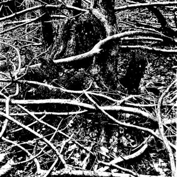 Dessin intitulée "Forest II" par Damir Kamenar, Œuvre d'art originale, Encre