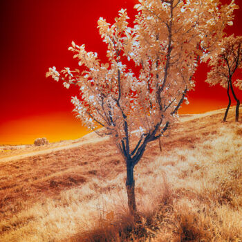 Fotografie getiteld "Infrared Light" door Dan Lavric, Origineel Kunstwerk, Digitale fotografie