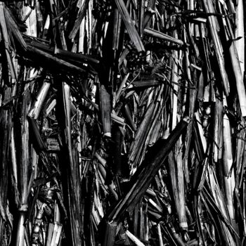 Fotografie mit dem Titel "Compression" von Daniel Thomas, Original-Kunstwerk, Digitale Fotografie Auf Keilrahmen aus Holz mo…