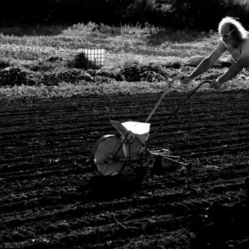 Fotografia zatytułowany „Biotravail” autorstwa Daniel Thomas, Oryginalna praca, Fotografia cyfrowa Zamontowany na Drewniana…