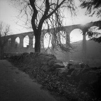 Fotografie getiteld "Le Viaduc" door Daniel Sohier, Origineel Kunstwerk, Film fotografie Gemonteerd op Aluminium