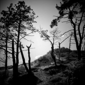 Fotografie getiteld "Les Dunes" door Daniel Sohier, Origineel Kunstwerk, Film fotografie Gemonteerd op Aluminium