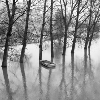 Fotografie getiteld "Inondation" door Daniel Sohier, Origineel Kunstwerk, Film fotografie Gemonteerd op Aluminium