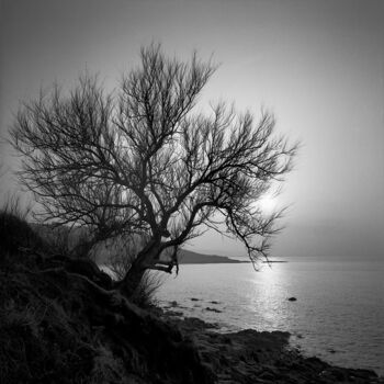 Photographie intitulée "Littoral" par Daniel Sohier, Œuvre d'art originale, Photographie argentique Monté sur Aluminium