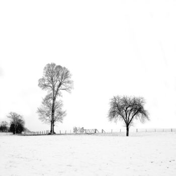 Photographie intitulée "Hiver 2" par Daniel Sohier, Œuvre d'art originale, Photographie argentique Monté sur Aluminium