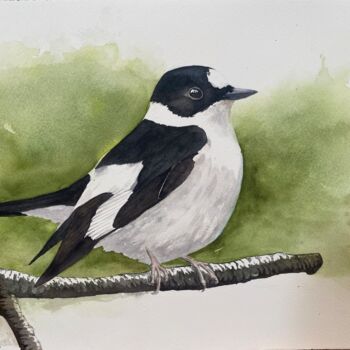 Painting titled "Flycatcher" by Daniela Rios, Original Artwork, Watercolor
