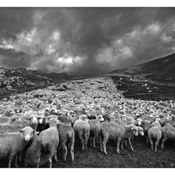 Photographie intitulée "montagne-9793nb.jpg" par Daniel Hess, Œuvre d'art originale