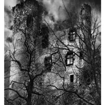 "chateau-2604nb.jpg" başlıklı Fotoğraf Daniel Hess tarafından, Orijinal sanat