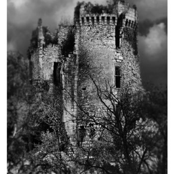 Photographie intitulée "chateau-2966nb.jpg" par Daniel Hess, Œuvre d'art originale