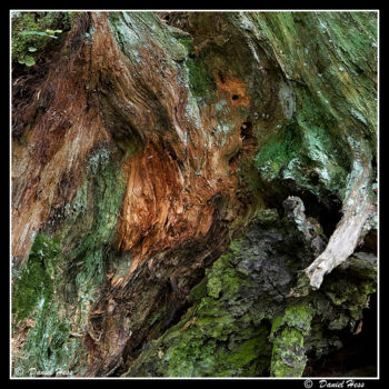 Photographie intitulée "Tach17" par Daniel Hess, Œuvre d'art originale