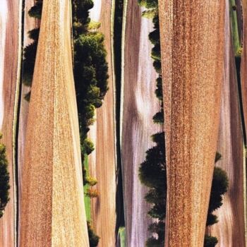 Fotografía titulada "drapés de velours" por Danielle Dubus, Obra de arte original