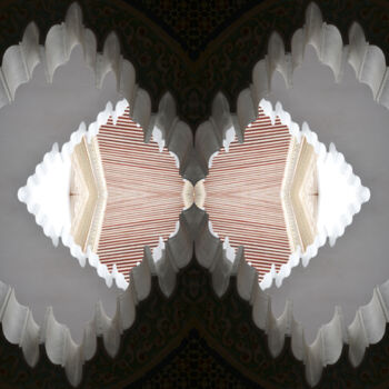 Фотография под названием "Elytres" - Danielle Dubus, Подлинное произведение искусства