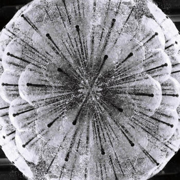 Photographie intitulée "le bozon de Higgs" par Danielle Dubus, Œuvre d'art originale