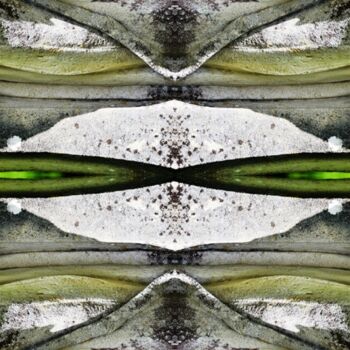 Φωτογραφία με τίτλο "incrustation de jade" από Danielle Dubus, Αυθεντικά έργα τέχνης
