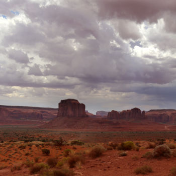 Photography titled "MONUMENT VALLEY 8" by Alain Revy, Original Artwork