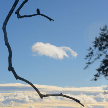 Photographie intitulée "croque nuage" par Daniel Meynial, Œuvre d'art originale, Photographie numérique