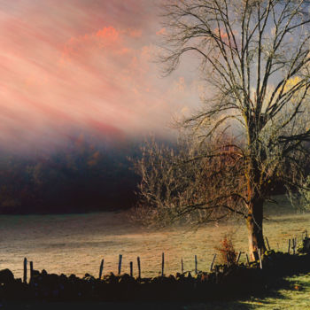 Fotografia intitulada "fusion hivernale" por Daniel Meynial, Obras de arte originais, Fotografia digital