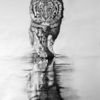 Disegno intitolato "Tigre" da Danihua, Opera d'arte originale, Grafite