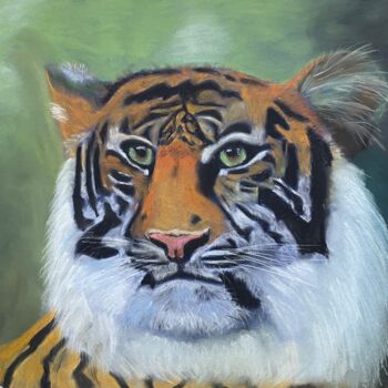 Pittura intitolato "Тигр" da Daniil Kudriashov, Opera d'arte originale, Pastello