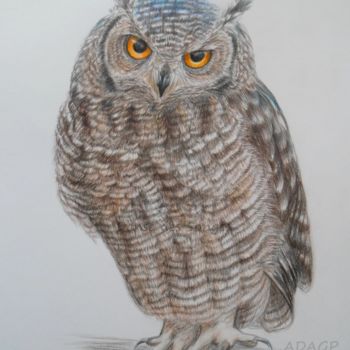 Drawing titled "Hibou Owl" by Danse Des Songes, Original Artwork, Other