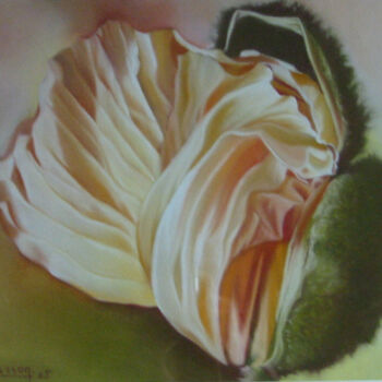 Painting titled "bouton-coquillage" by Dany Masson, Original Artwork, Pastel