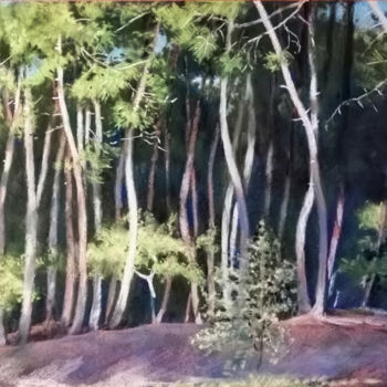 Peinture intitulée "pins des landes n°3" par Dany Masson, Œuvre d'art originale, Pastel Monté sur Carton