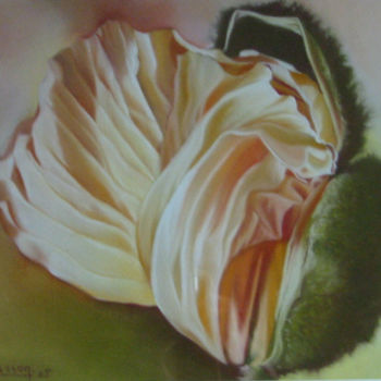 Peinture intitulée "bouton-coquillage" par Dany Masson, Œuvre d'art originale, Pastel