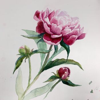 Painting titled "Peony" by Daria Kamishanova, Original Artwork, Watercolor