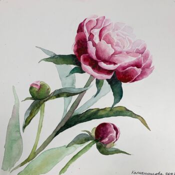 Painting titled "Peony 2" by Daria Kamishanova, Original Artwork, Watercolor