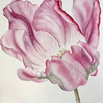 Painting titled "Pink tulip" by Dariia Pavlenko, Original Artwork, Watercolor