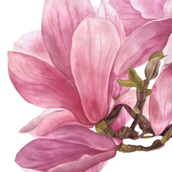 Pittura intitolato "Pink Magnolia Magic" da Dariia Pavlenko, Opera d'arte originale, Acquarello