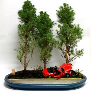 Sculpture titled "CRASH BONSAI.jpg" by Dario Di Franco, Original Artwork, Mixed Media