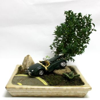 Sculptuur getiteld "CRASH BONSAI.jpg" door Dario Di Franco, Origineel Kunstwerk, Mixed Media