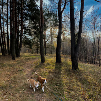 Photographie intitulée "Dogs on a Forest Wa…" par Darya Insight, Œuvre d'art originale, Photographie numérique