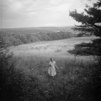 Fotografie mit dem Titel "Edge of the Forest" von David Aimone, Original-Kunstwerk, Analog Fotografie