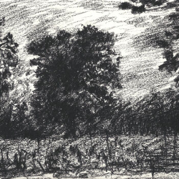 Dessin intitulée "Etude d'un arbre" par David Benayoun, Œuvre d'art originale, Crayon
