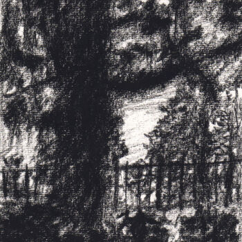 Dessin intitulée "Tronc d'arbre" par David Benayoun, Œuvre d'art originale, Crayon