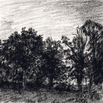 Рисунок под названием "Arbres (croquis)" - David Benayoun, Подлинное произведение искусства, Карандаш