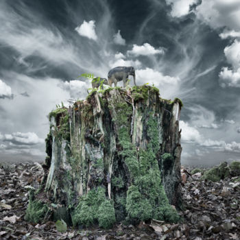 Photographie intitulée "A Bit of Wilderness…" par David Heger, Œuvre d'art originale, Photographie manipulée