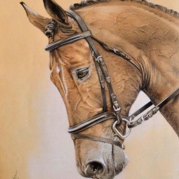 Dibujo titulada "Horse" por David Mela, Obra de arte original, Grafito