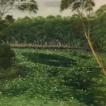Malarstwo zatytułowany „A Quiet Lagoon, NT” autorstwa David O'Halloran, Oryginalna praca, Olej