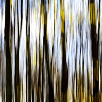 Fotografie getiteld "sky trees" door David Page, Origineel Kunstwerk, Digitale fotografie