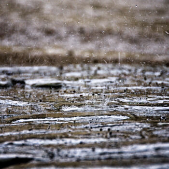 Fotografia intitolato "raindrops on cobble…" da David Page, Opera d'arte originale, Fotografia digitale