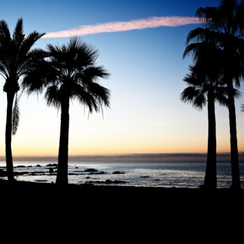 Photographie intitulée "morning palms" par David Page, Œuvre d'art originale, Photographie numérique